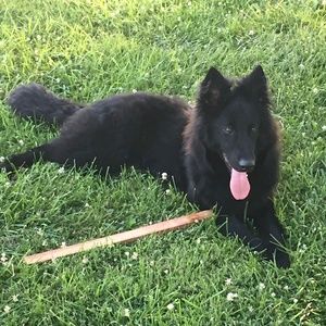 Meet your Posher, Brittney